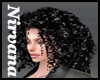 Elegant Black Hairstyle