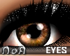 *NoA*Glassy Eye Brown/F