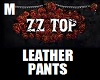 ~ZZTOP~LEATHER~PANTS~