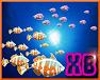 XB - FISH ENHANCER 1