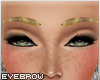 [V4NY] Pard Eyebrow #1