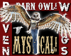 M&F BARN OWL WINGS!
