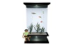 green fish tank