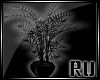 (RM)X plant