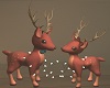Deer Love...