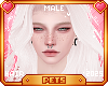 [Pets] Suki | Macarina