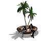 Round Palm bench/poses