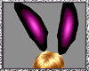 {J@}Bunny Ears Animated