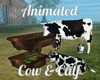 Animated Cow & Calf