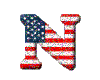 (1) American Flag "N"