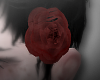 Head Roses