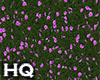 Grass & Flowers Pinki