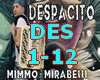 DESPACITO -  fisarmonica