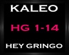 Kaleo - Hey Gringo