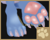 ~AM~ Sufi Paw Feet M