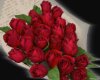 Valentine Roses M