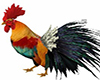 Country Rooster Animated