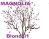MAGNOLIA TREE