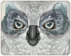 🌿 Shoulder Snow Owl