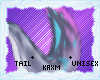 ꨄStacy Tailꨄ