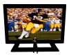 Steelers Big Screen TV 1