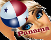 Panama Flag (bandera)