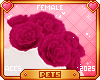 [Pets] Suki |shldr roses