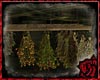 [ML]Witch Herbs
