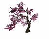 pink spring tree