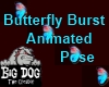 [BD] Butterfly BurstPose