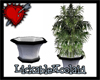 *Lg. Plant Vase*