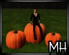 [MH] TLC Pumpkin Seats
