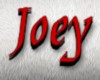 Joey Stocking