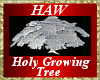 Holy Growing Tree