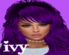 ivy-Banim Purple