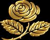 SM Gold Rose