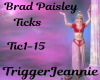 Brad Paisley-Ticks