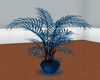 black and blue plant