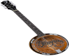 bluegrass banjo