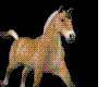 animated brown horse