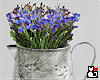 *Vintage Vase Cornflower