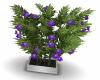 purple flowers & butterf