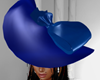 FG~ Hat Blue