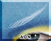 ✶Poseidon Brows