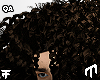 Brown Curly Fro