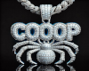 Silver Spider Coop