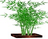 alure planter bamboo