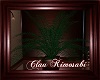 -CK- Special Gift Plant4