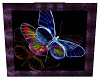 BUTTERFLY PICTURE-ONE
