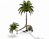 Palm tree w/Hammock
